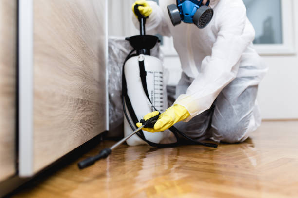 Best Pest Prevention Services  in Jefferson, WI