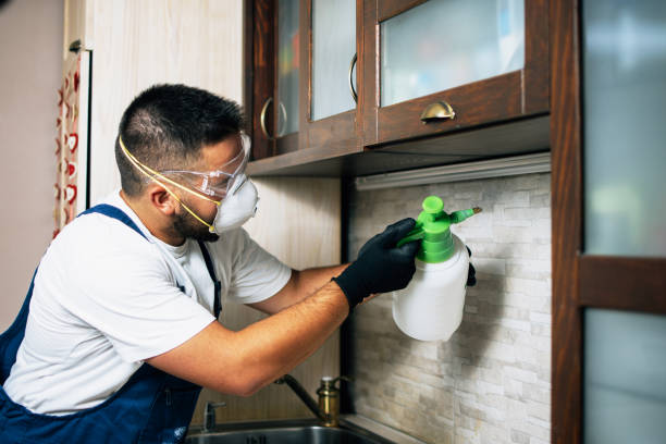 Best Affordable Pest Control Services  in Jefferson, WI