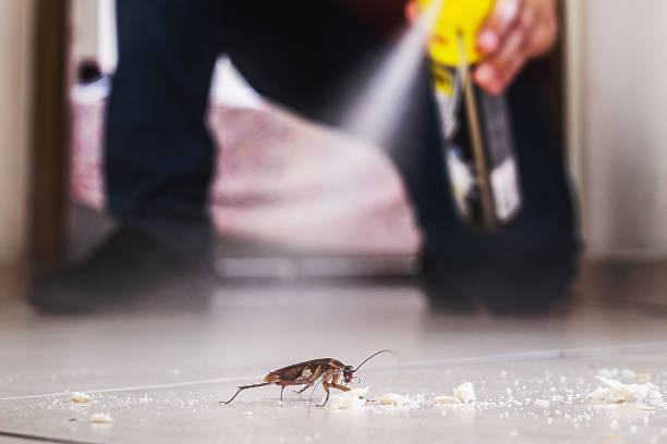 Best Best Pest Control Companies  in Jefferson, WI